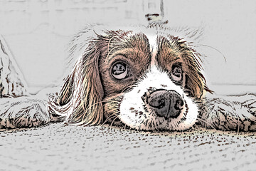 A dog lying on the floor and playing with its owner