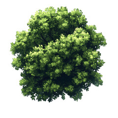 Fototapeta premium Lush Green Treetop View Digital Painting of Foliage, Nature Design, isolated on transparent Background