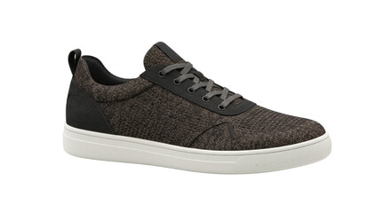 Isolated Brown Casual Shoe