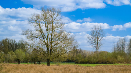 Fototapeta premium Belgium, Harchies - March 29, 2025 : beautiful view of the Harchies marshes