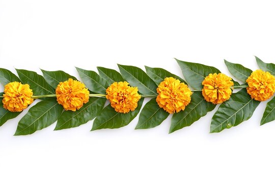 Indian flower garland of mango leaves and marigold flowers. Ugadidiwali rule of third ganesha festival poojas weddings functions holiday ornate decoration. Isolated on white background natural 