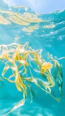 Underwater Kelp Forest Scene Vibrant Ocean Plants