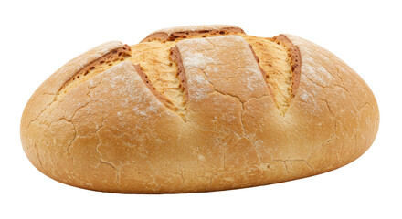 Isolated Loaf of Rustic Bread