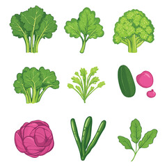 collection of vegetables