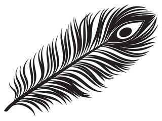 Obraz premium peacock feather black silhouette vector silhouette white background 