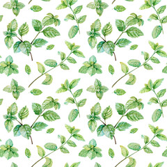 Fresh green mint sprigs, branches and leaves watercolor hand drawn illustration. Isolated on white seamless pattern of culinary herb for textile, fabric, wallpaper, wrapping paper, scrapbooking