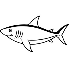 shark vector illustration