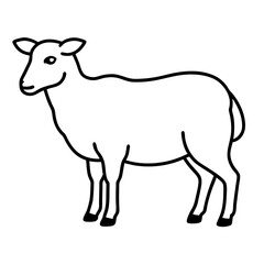 goat isolated on white