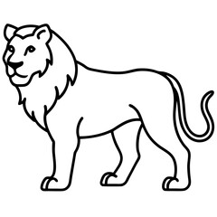 lion vector illustration