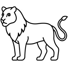 lion vector illustration