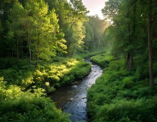 Naklejka premium drones float above while sunlight filters through the tree