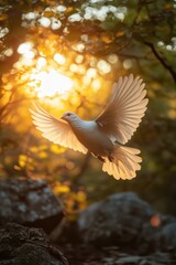Obraz premium Graceful white dove soars through sunlit forest canopy creating a serene and ethereal atmosphere of peace and freedom in nature