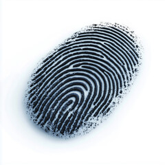 Unique fingerprint captured in stark contrast on white background