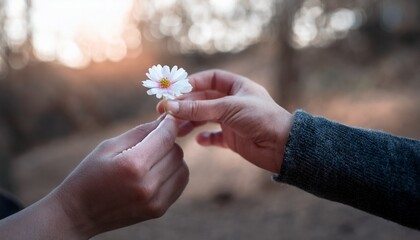 A scene where someone gets a small flower and gives it to someone else