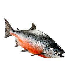 Naklejka premium Stunning Sockeye Salmon Aquatic Life Fish Wildlife Nature Ocean