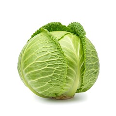 Obraz premium Fresh Green Cabbage Head Isolated on White Background - Whole Vegetable