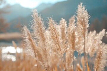 Fototapeta premium Golden grasses by water, mountain backdrop, sunlight