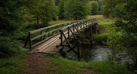 Fototapeta premium Wooden bridge crossing a serene stream in a lush forest 