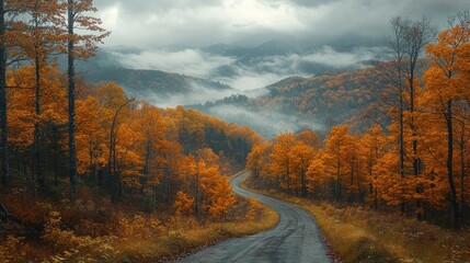 Obraz premium Autumn Foggy Mountain Road, Winding Path Through Colorful Forest