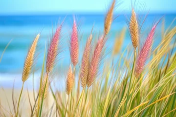  A photograph of colorful beach grasses, with the ocean in the background. © Aamir