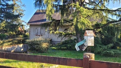 Bel et grand arbre devant une ancienne maison avec niche
