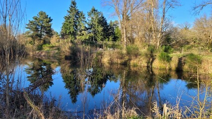 Bel étang sous un ciel bleu avec effet miroir et arbres reflétant dans l'eau