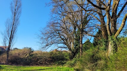 Fototapete bei efototapeten.de bestellen   