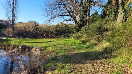 Fototapete bei efototapeten.de bestellen   