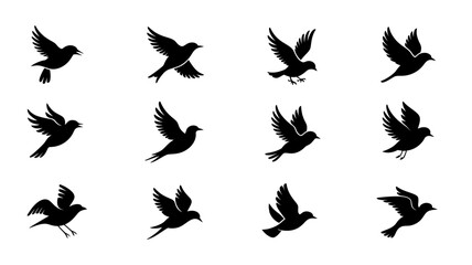 Wings of Freedom: A graphic representation of a sequence of birds in flight against a serene backdrop. conveying the spirit of liberation and unbound possibilities. © bddesigner15