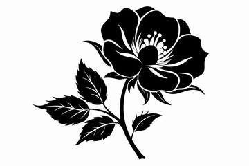 wild prairie rose silhouette line art vector illustration