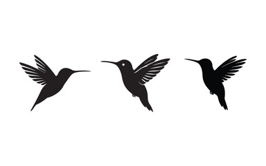 Obraz premium vector illustration of a bird