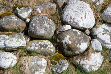 Textured Stone Wall with Natural Moss and Lichen Growth