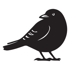 Bird Silhouette Vector Art Elegant Avian Design and Illustration