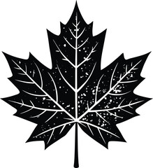 Canadian Maple Leaf Silhouette Vector