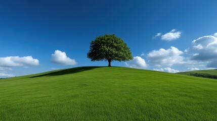 Solitary tree atop verdant hill under a vibrant blue sky