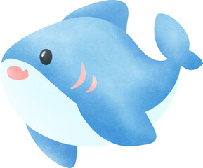 Shark Cute Watercolor