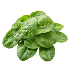 Fototapeta premium Fresh Spinach Leaves Isolated on Transparent Background for Cooking