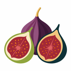 Fig Fruits vector art illustration