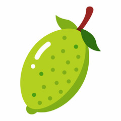 Finger lime Fruits vector art illustration