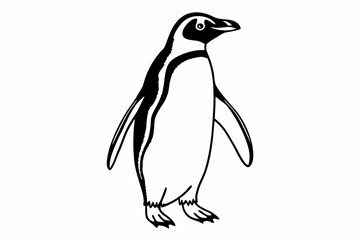 vector illustration of a penguin