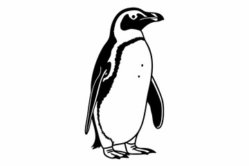 penguin vector illustration