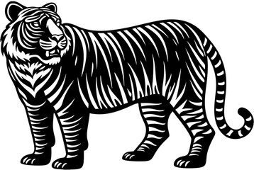 zebra vector illustration