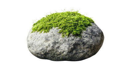Fototapeta premium green grass on white background