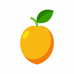 Jenipapo Fruits vector art illustration