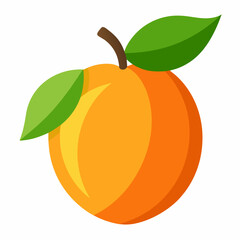 Jenipapo Fruits vector art illustration