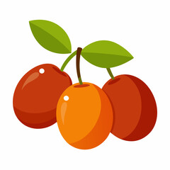 Jujube Fruits vector art illustration