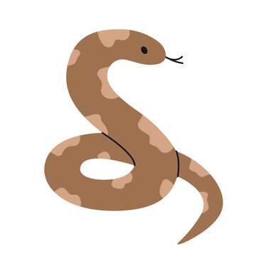 Cute spotted brown snake on white background. Isolated ball python with tongue out. Pet, exotic animal in simple style. Reptile character. Zoo, wild nature. Vector flat illustration