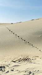 Golden sand trail lined with ropes, curving gently through dry grass beneath a brilliant open sky