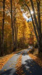 Obraz premium Winding road cuts through forest with tall trees exhibiting vibrant autumn colors; sunlight filters through foliage, casting dappled shadows on road. Fallen leaves blanket edges of asphalt.