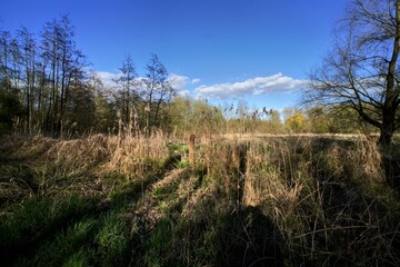 Frühling im Renaturierungsgebiet Niersaue